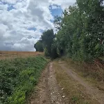 Maison Traditionnelle Tarn 10 Couchages, Campagne Cascade 30 Min Sidobre 45min Albi Lacaze