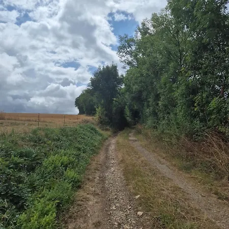 Maison Traditionnelle Tarn 10 Couchages, Campagne Cascade 30 Min Sidobre 45min Albi Lacaze