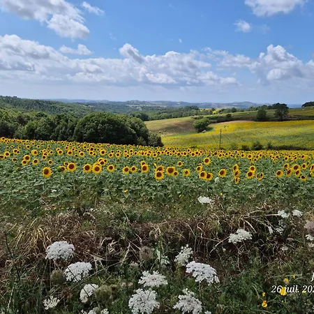 Maison Avec Piscine, Spacieuse Et Climatisee, Campagne Cascade 30 Min Sidobre 45min Albi * Lacaze