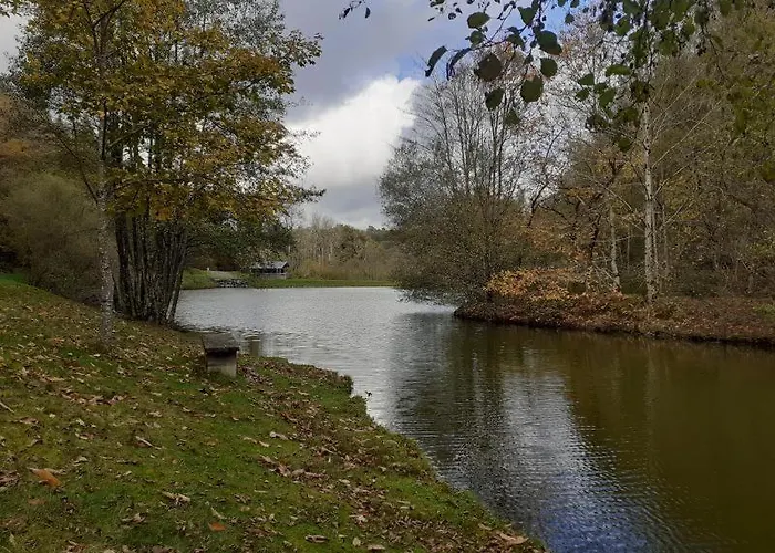 Tatil Evi Maison Traditionnelle Tarn 10 Couchages, Campagne Cascade 30 Min Sidobre 45min Albi *