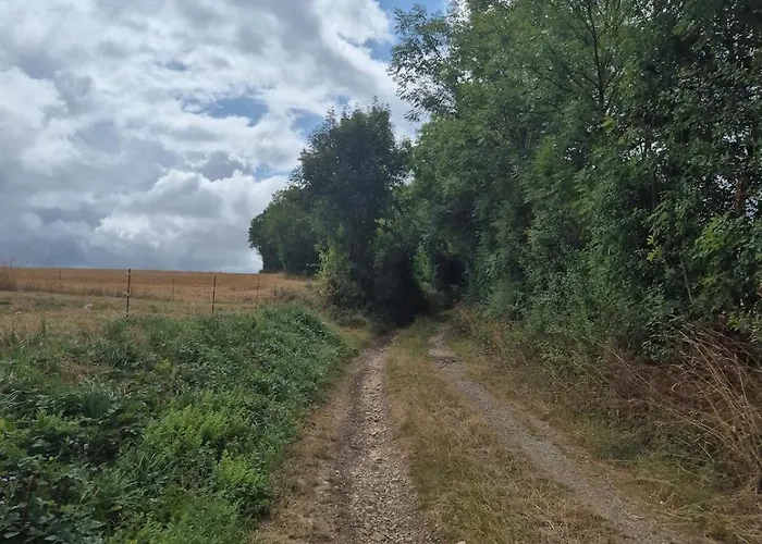 Maison Traditionnelle Tarn 10 Couchages, Campagne Cascade 30 Min Sidobre 45min Albi Lacaze