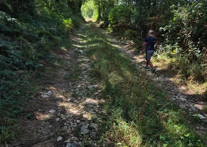 Maison Traditionnelle Tarn 10 Couchages, Campagne Cascade 30 Min Sidobre 45min Albi Tatil Evi *