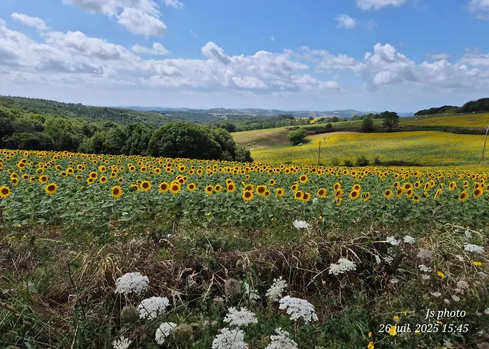 Maison Traditionnelle Tarn 10 Couchages, Campagne Cascade 30 Min Sidobre 45min Albi * Lacaze